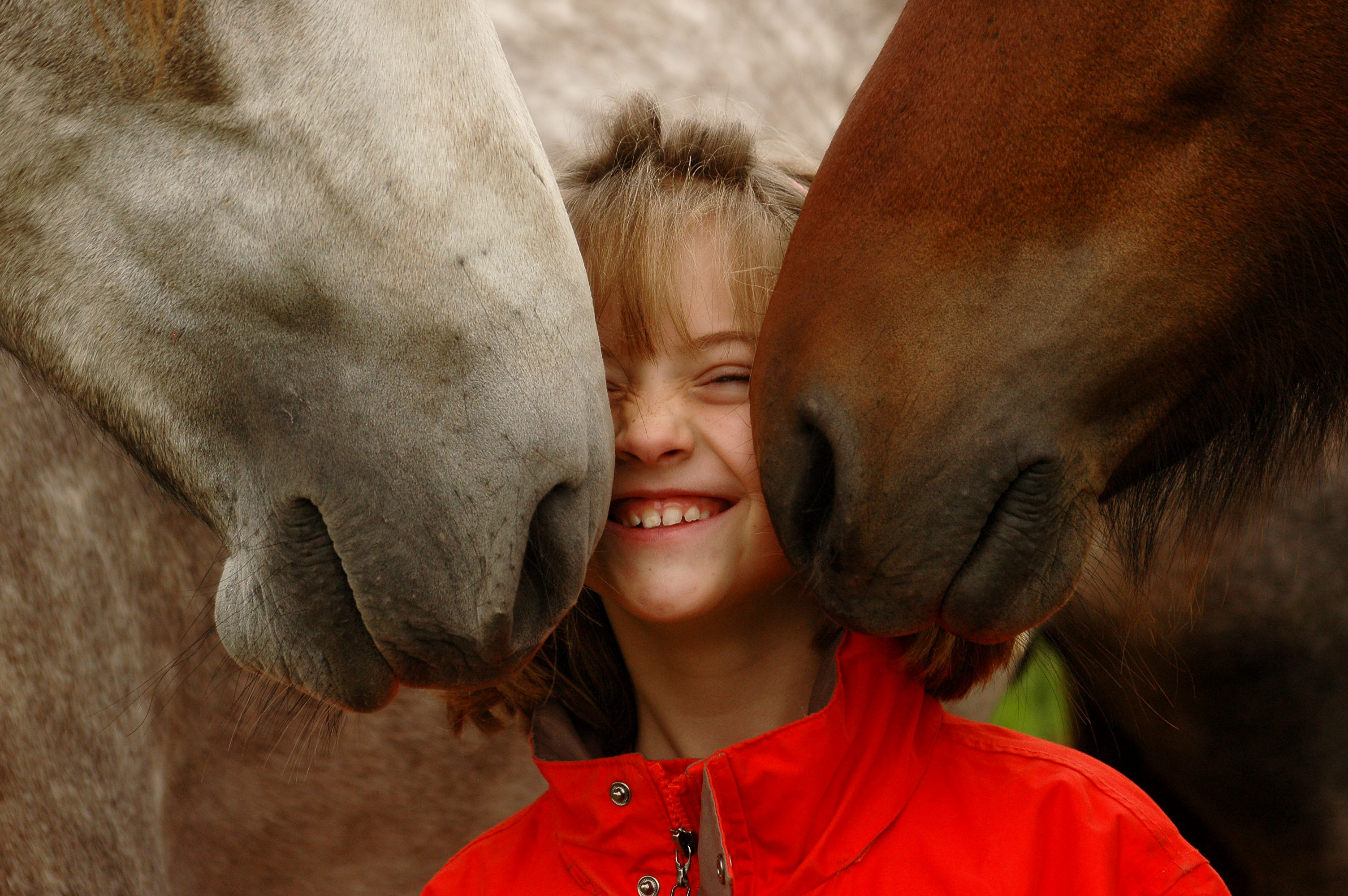 Young child with horses