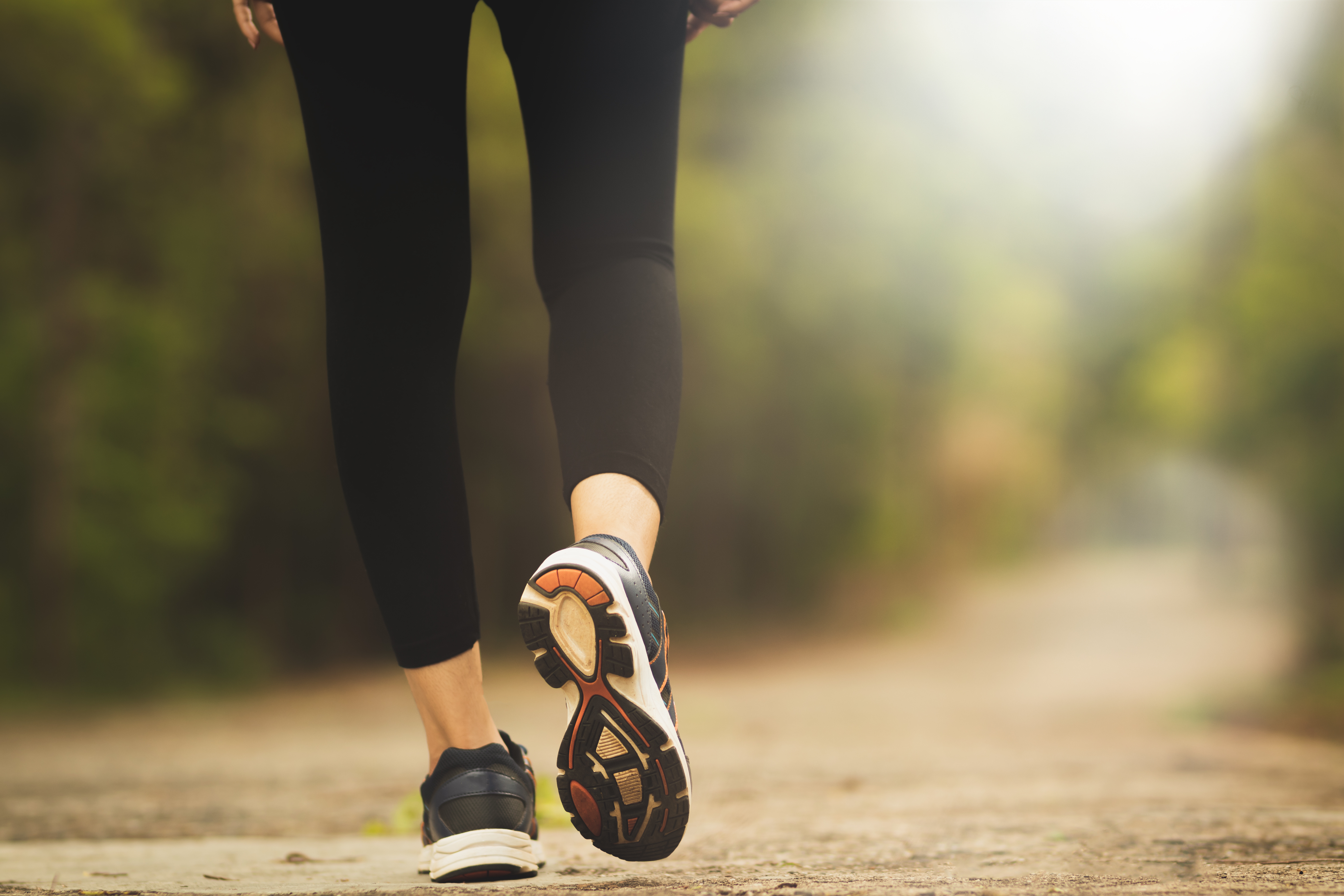 person walking on path 