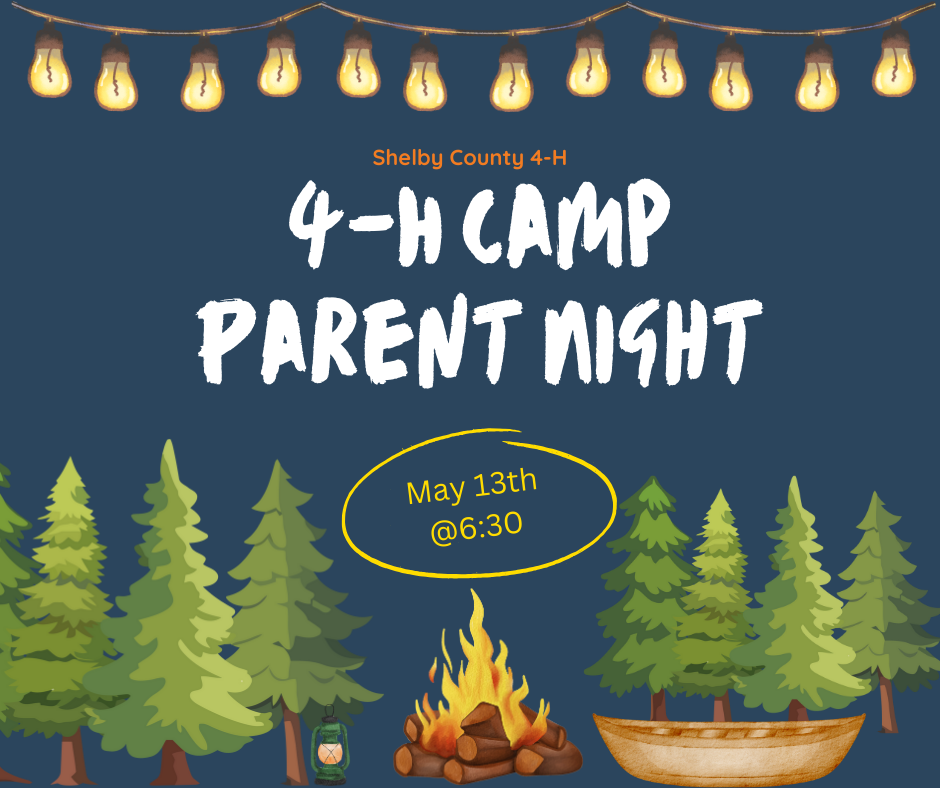 4-H camp parent night