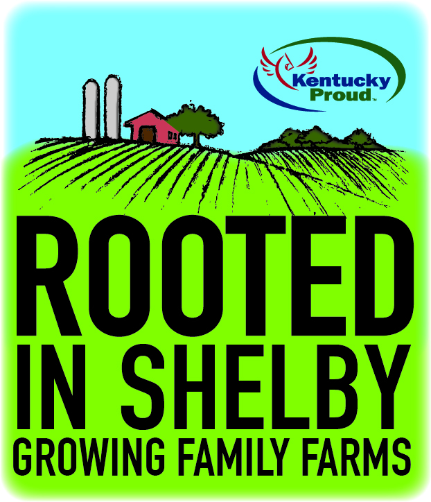 Rooted in Shelby