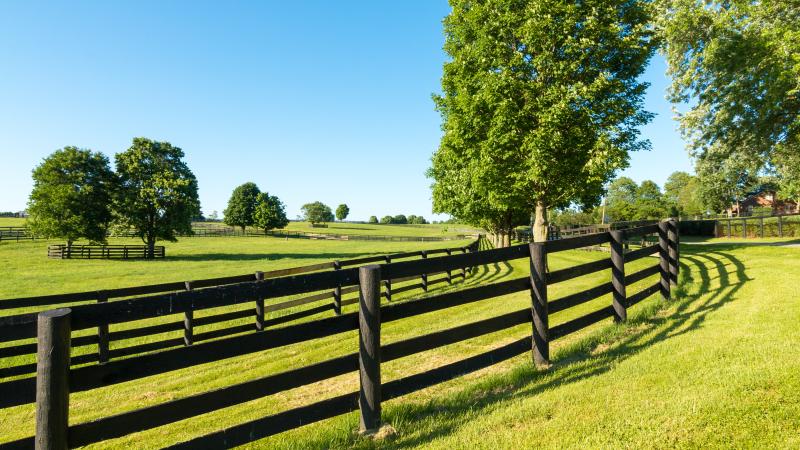 Fence Row