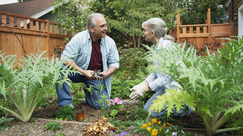 A man and a women working in a garden 